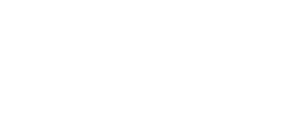 Chauffeur Service Factory